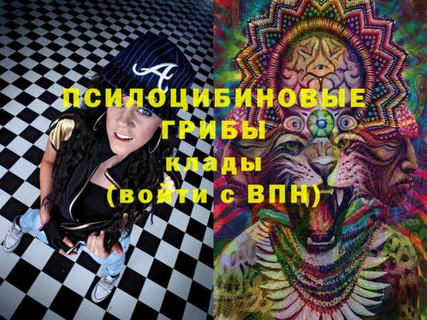 таблы Осинники