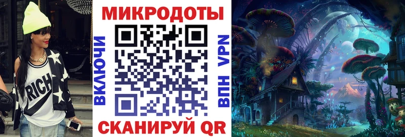 Галлюциногенные грибы Psilocybe  Боровичи 