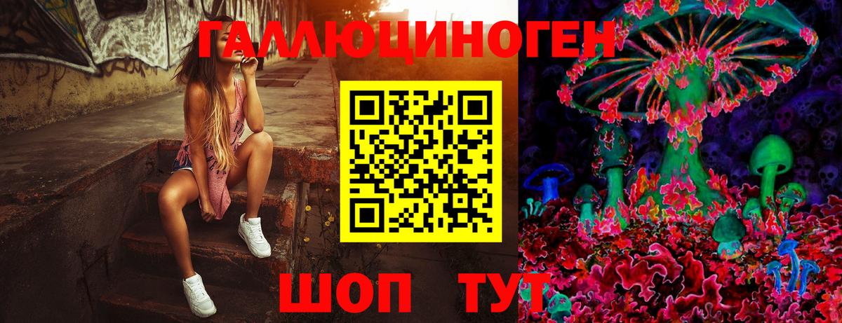 наркота  Вход с VPN  Боровичи  Галлюциногенные грибы GOLDEN TEACHER 
